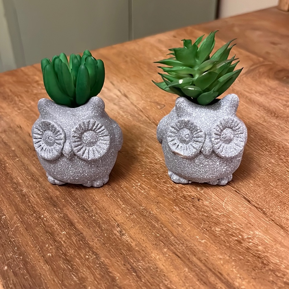 Miniature Owl Statues
